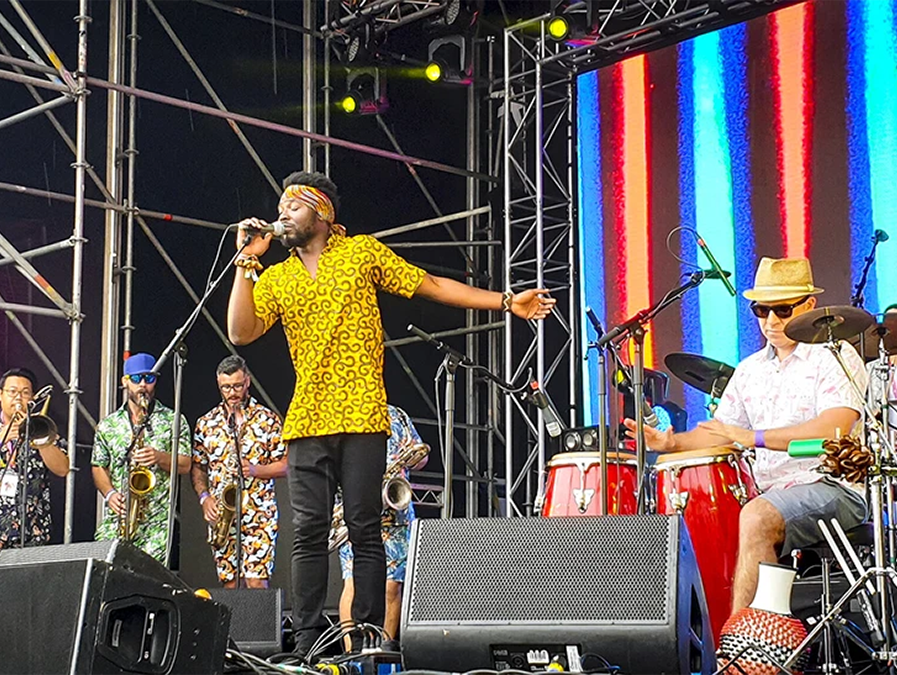 What's on this Summer in Auckland